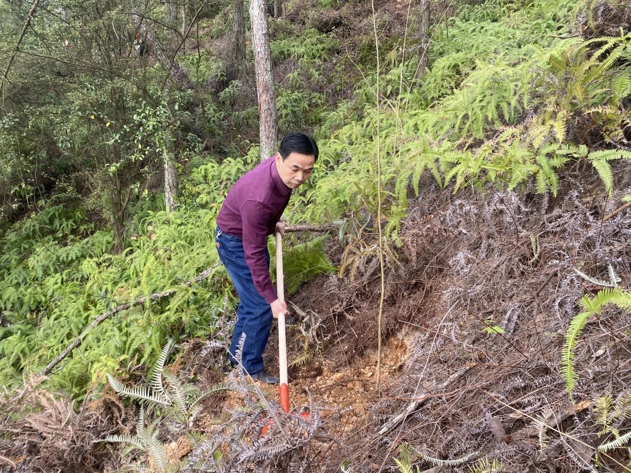 01bf8aa9b44ce6408c03017d0f16c0ee.jpg 01bf8aa9b44ce6408c03017d0f16c0ee.jpg